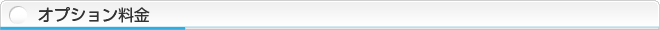 オプション料金